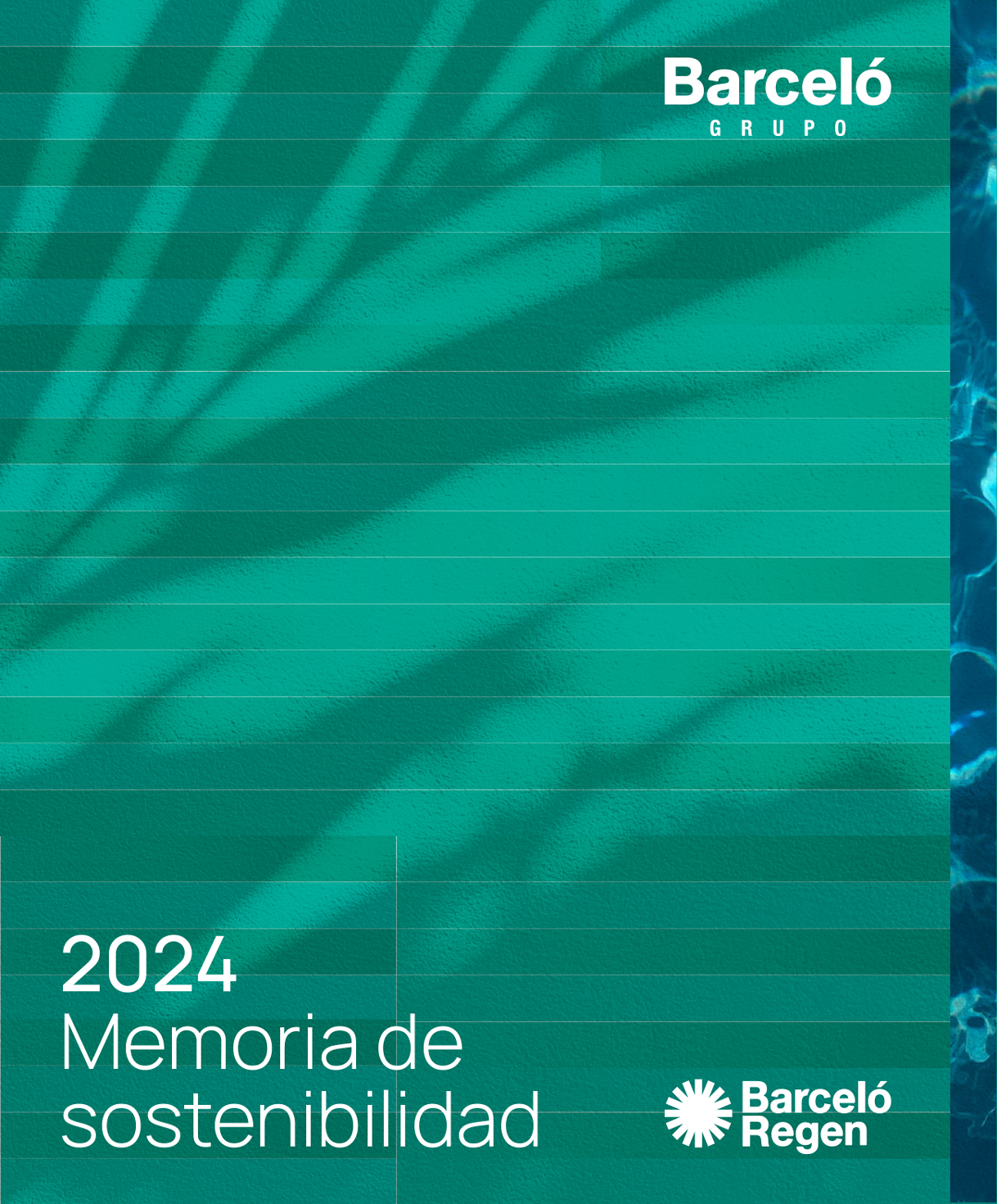 Memoria anual 2024